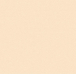 Керамическая плитка Радуга 6П бежевая напольная RAD 330х330 Пиастрелла (9/612)